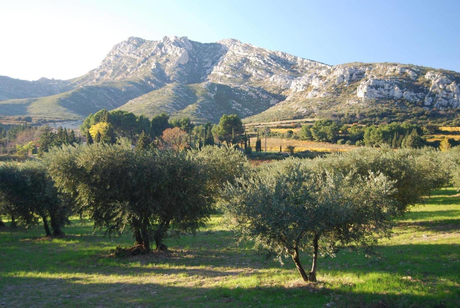 Sous Le Soleil Des Alpilles Mouries Exterior foto